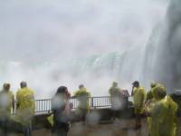 Nikita+Lenore Wedding Toronto - 193 